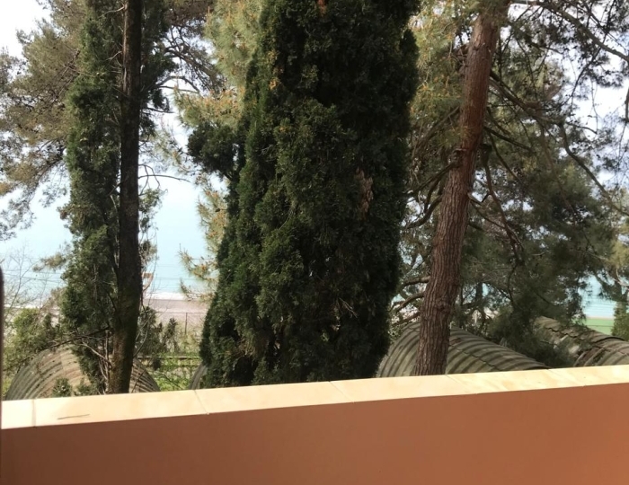 Стандарт 3-месиный 1-комнатный с/б в корпусе на территории - Пансионат «Солнечный» Холодная речка